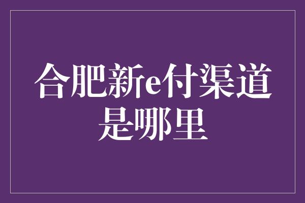 合肥新e付渠道是哪里