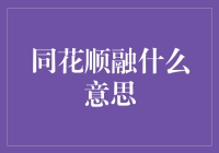 同花顺融：重塑金融科技创新的引擎