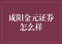 咸阳金元证券：一张通往资本市场的通行证