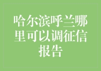 哈尔滨呼兰征信报告查询指南：专业机构与自助查询渠道解析