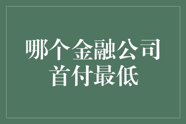 哪个金融公司首付最低