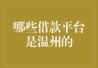 温州地区专业借款平台精选：解读本土借贷市场