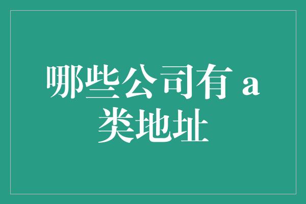 哪些公司有 a类地址