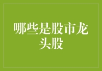 新手的股市困惑：什么是真正的龙头股？