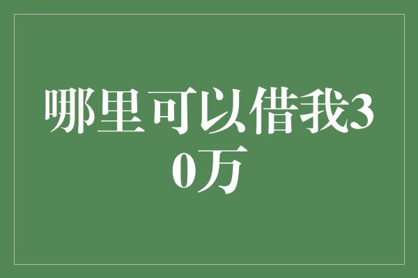 哪里可以借我30万