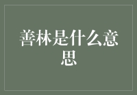 深入探讨善林：从字面到心灵的跨越