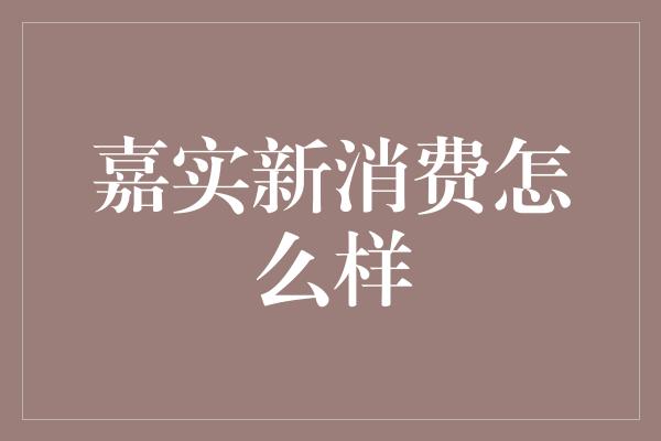 嘉实新消费怎么样