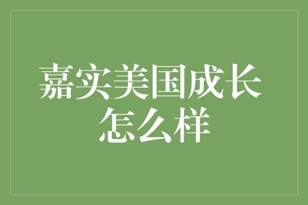 嘉实美国成长 怎么样