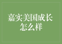 嘉实美国成长基金的投资策略与表现剖析