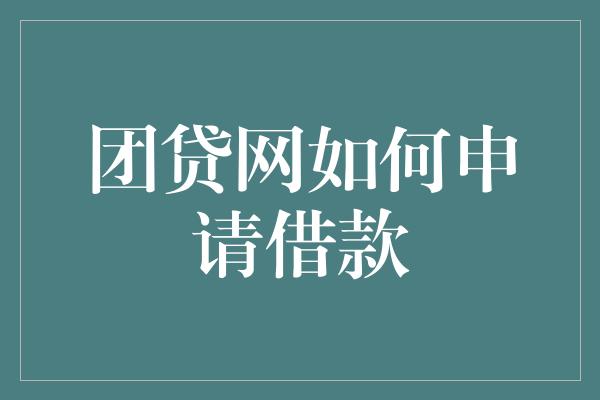 团贷网如何申请借款