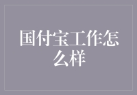 国付宝：一个支付界的宝盒，工作怎么样？