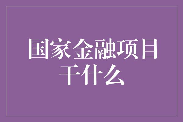 国家金融项目干什么