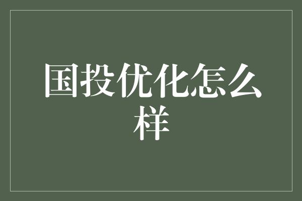 国投优化怎么样