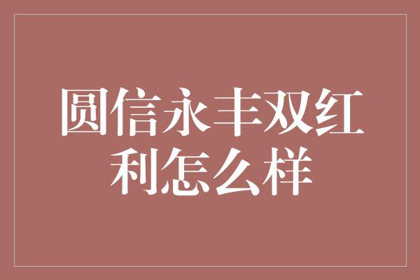 圆信永丰双红利怎么样