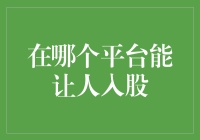 跟我一起玩转投资：如何在各个平台入股，让你的钱袋子鼓鼓的！