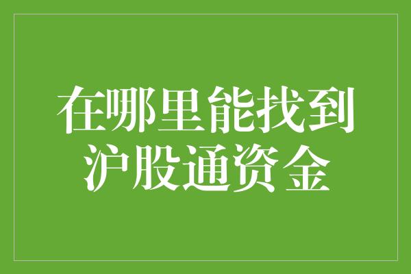 在哪里能找到沪股通资金