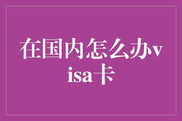 在国内怎么办visa卡