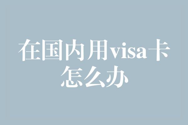 在国内用visa卡怎么办