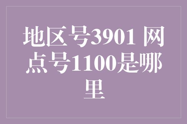 地区号3901 网点号1100是哪里