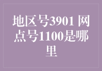 3901-1100魔幻之旅：寻找神秘网点的奇妙冒险