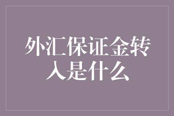 外汇保证金转入是什么