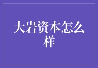 大岩资本：在金融海洋里，你就是那颗最亮的大家伙