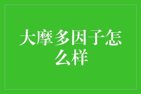 大摩多因子怎么样