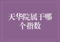 从天华院的角度看指数：探究其所属范畴