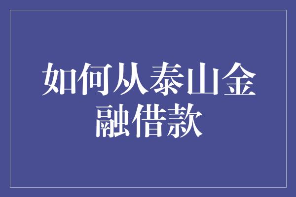 如何从泰山金融借款