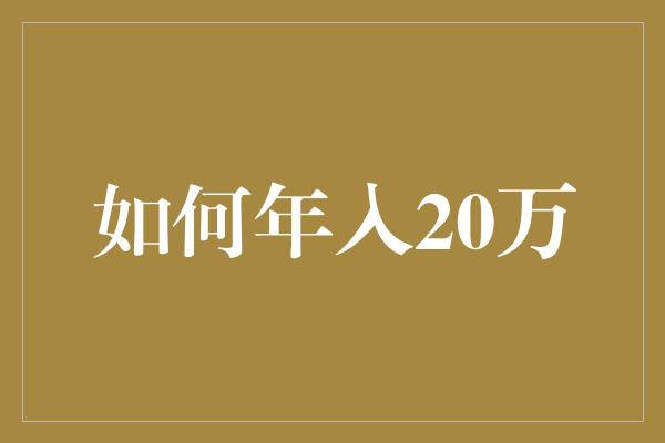 如何年入20万