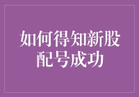 新股配号成功查询途径与技巧详述