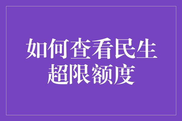 如何查看民生超限额度