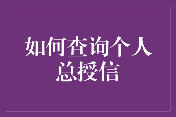 如何查询个人总授信