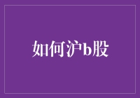 如何沪b股：一场股市探险大冒险