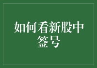 如何通过精准分析确定新股中签号：策略与指南