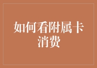 通过附属卡消费了解家庭财务管理的技巧与策略