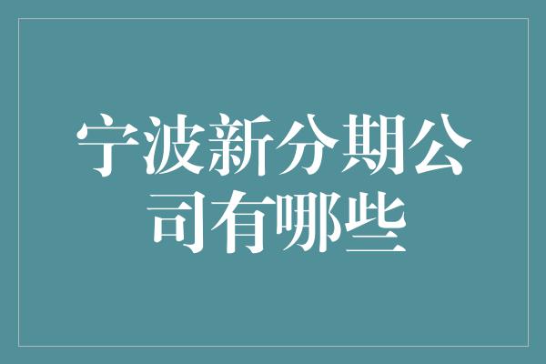 宁波新分期公司有哪些