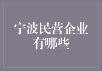 别看我不起，我可是宁波民营企业的小能手