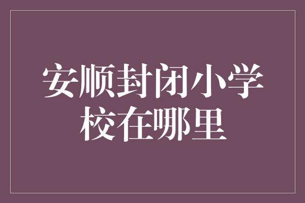 安顺封闭小学校在哪里