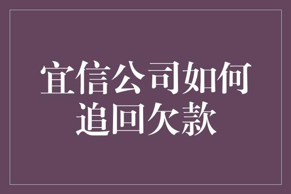 宜信公司如何追回欠款