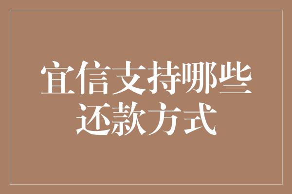 宜信支持哪些还款方式