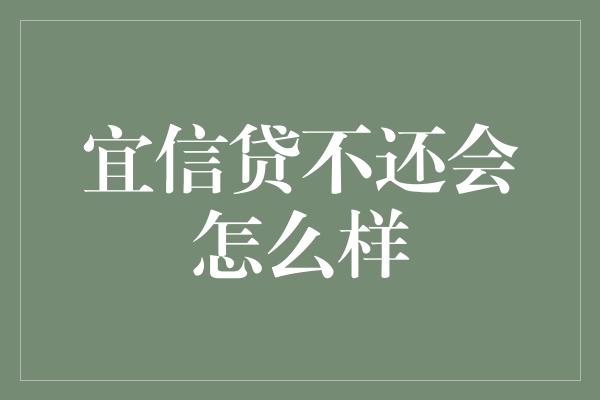 宜信贷不还会怎么样