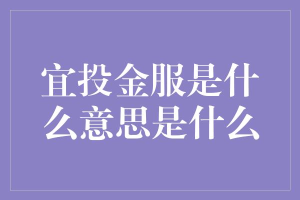 宜投金服是什么意思是什么