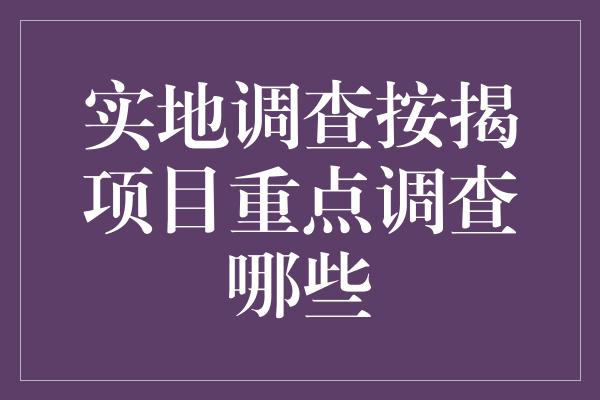 实地调查按揭项目重点调查哪些