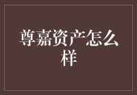 尊嘉资产怎么样？解读其运营模式与投资策略！