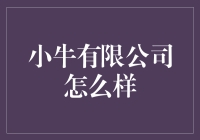 小牛有限公司：科技创新驱动的未来出行解决方案