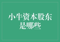 小牛资本股东的多样化背景及其对公司的影响