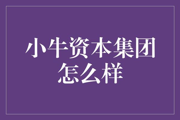 小牛资本集团怎么样