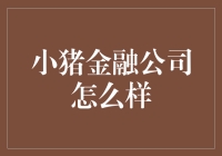 小猪金融公司：一个让理财变得更简单的新锐平台