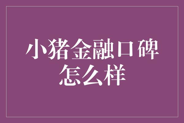 小猪金融口碑怎么样